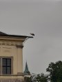 Výprava do starého Ostrova